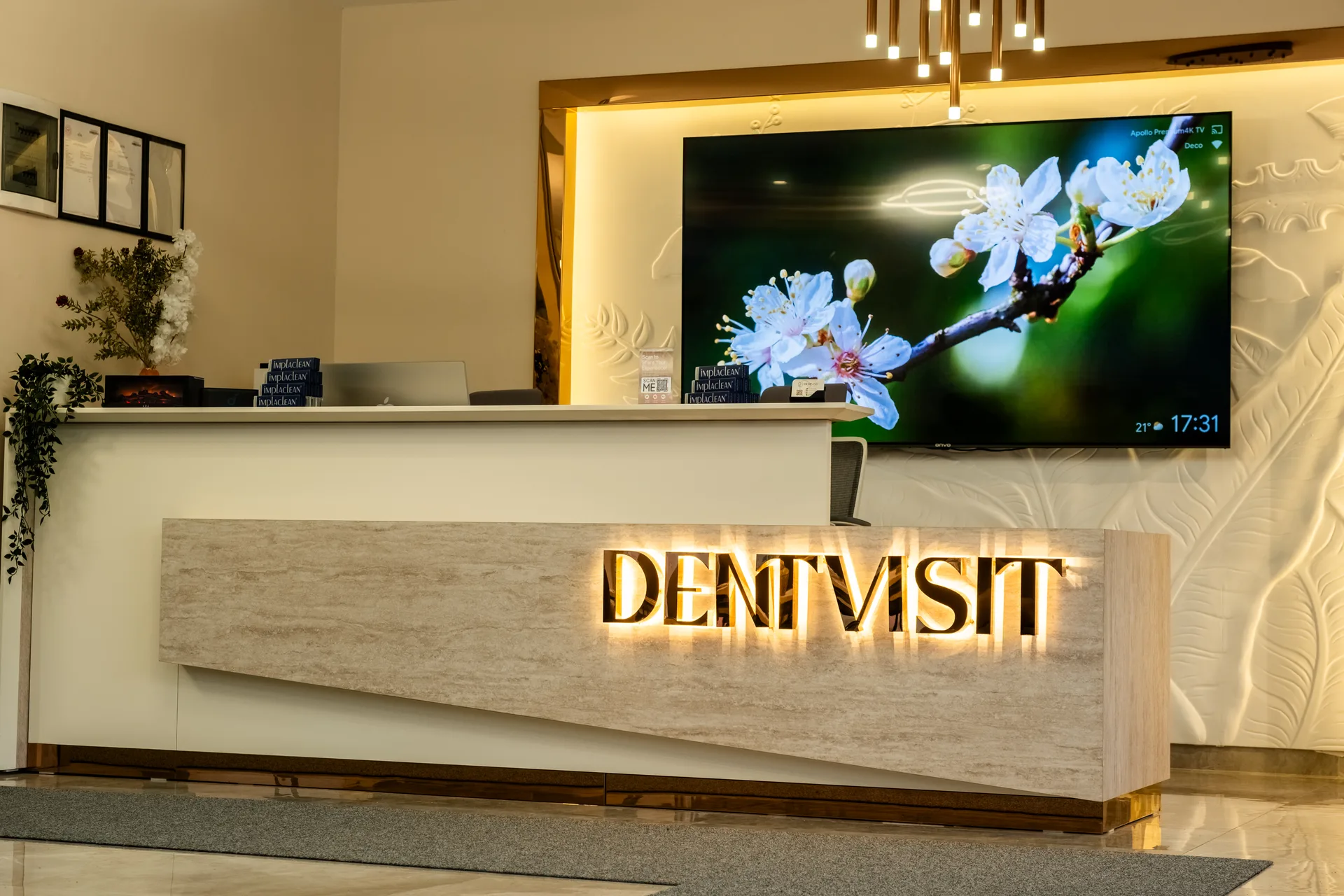 DentVisit — karşılama bankosu